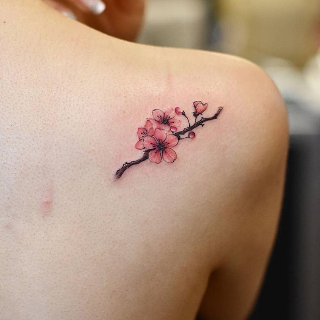 做兽医的郁小姐后背肩胛樱花纹身图案